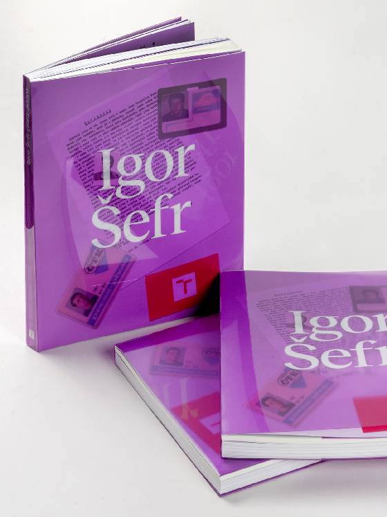 Obálka knihy Igor Šefr (1961–2020)